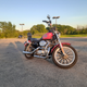 Illustration for article titled My Summertime Flip: 2002 Harley-Davidson Sportster 883